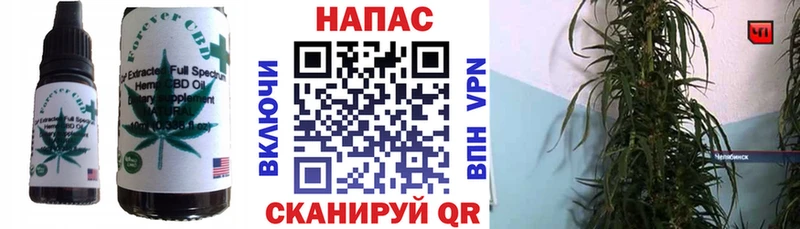 Cannafood конопля закладка Спасск-Дальний