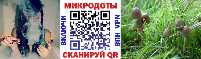 Псилоцибиновые грибы Magic Shrooms  Спасск-Дальний 